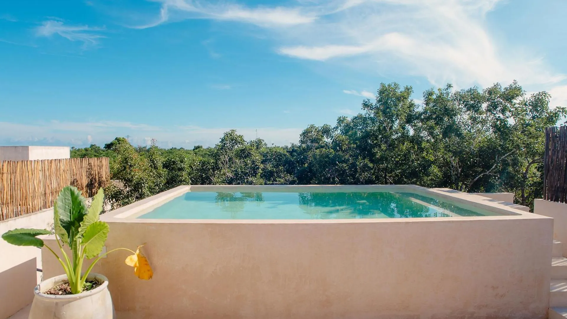 T2Ph New Stunning Penthouse And Rooftop Tulum